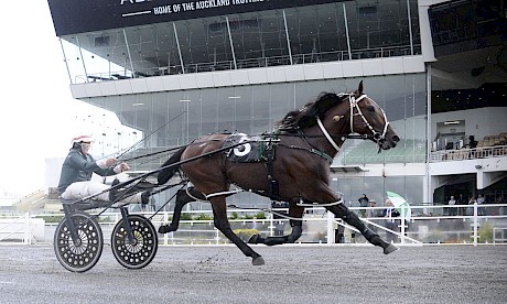 Lincoln Wave powers to the line on debut at Alexandra Park on Friday night. PHOTO: Megan Liefting/Race Images.