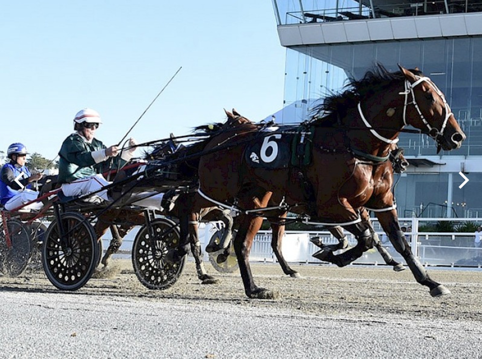 Lincoln Wave goes back-to-back at Auckland.