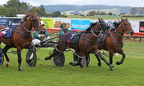 Loveable Rogue gets up inside Lincoln Lover near the finish but just fails to catch him. PHOTO: Peter Rubery/Race Images.