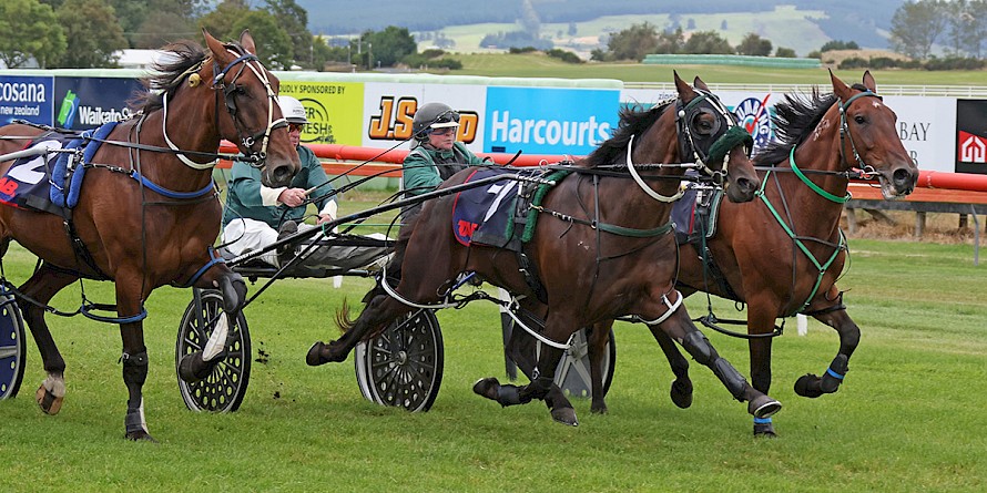 Loveable Rogue gets up inside Lincoln Lover near the finish but just fails to catch him. PHOTO: Peter Rubery/Race Images.