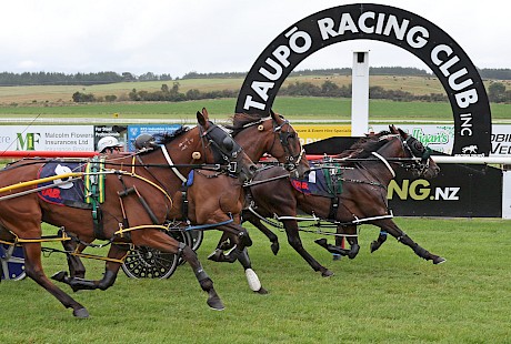 Lincoln Lover gets a half-head call over Loveable Rogue, obscured, with Colonel and The Miki Taker close-up. PHOTO: Peter Rubery/Race Images.