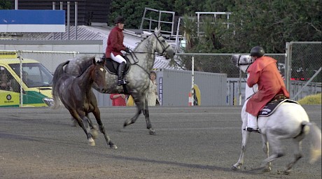 Spiritual Bliss evades the clerks of the course