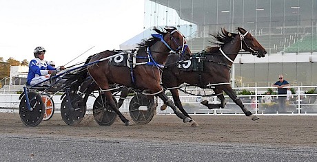 Ray Green looks on as Spiritual Bliss fights back to beat Final Change, inner, and Blazing Louie, obscured.