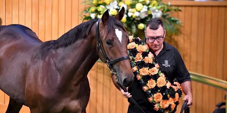 The King Of Swing colt which John Street just had to buy.