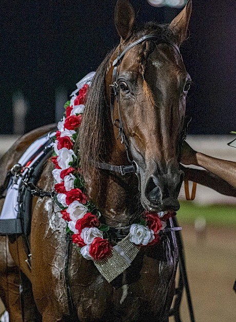 King Of Swing made a habit of being decorated with garlands during his 44-win career.
