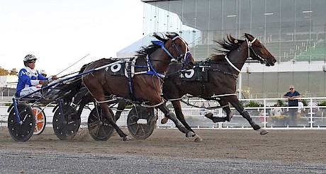 Spiritual Bliss wins her fifth race from just seven starts at Lincoln Farms. PHOTO: Megan Liefting/Race Images.