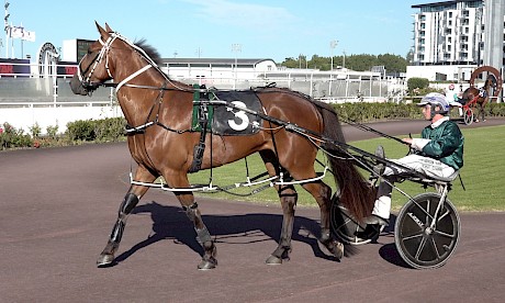 Well built Sammy Lincoln is very fast but just needs to get round safely for Harrison Orange.