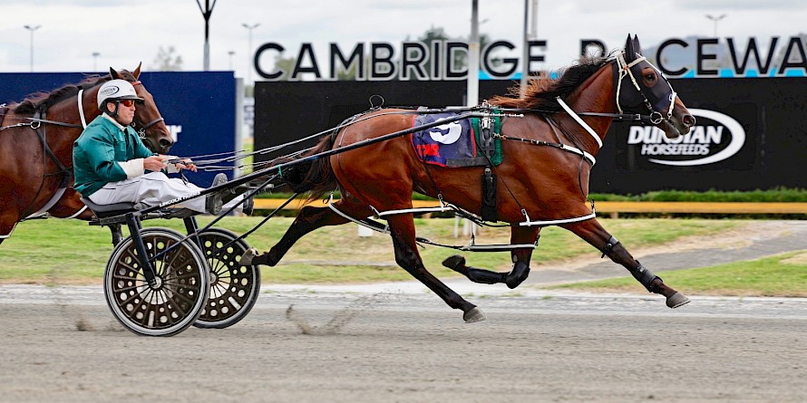 Peter Ferguson is in total control behind Lincoln Linda. PHOTO: Ange Bridson/Race Images.