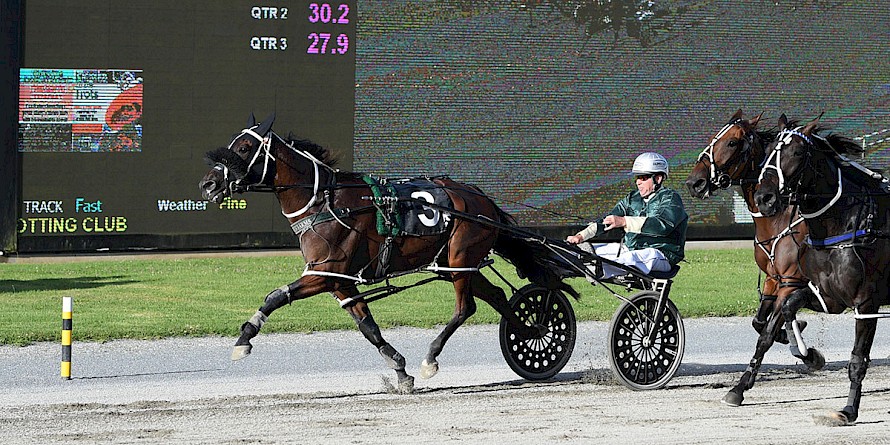 Johnny Lincoln dashes up the lane and holds out the late-closing favourite Allamericanplayer. PHOTO: Megan Liefting/Race Images.