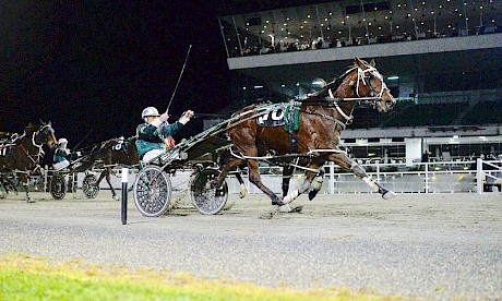 Leo Lincoln thumps a strong Metro Final field at Auckland, pacing under 2:40 for the 2200m. PHOTO: Megan Liefting/Race Images.