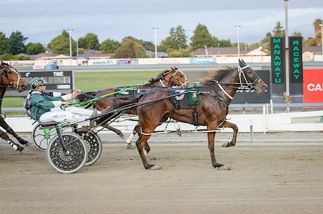 Lincoln Maree winning at Manawatu last December. PHOTO: Jack McKenzie/Race Images.