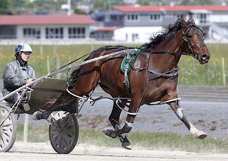 Vincent No. 1: Illustrious Arden … Nathan’s first winner.