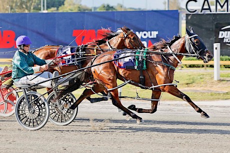 Lincoln Maree holds on strongly for Frank Phelan. PHOTO: Ange Bridson/Race Images.