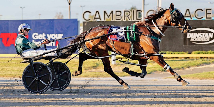 It’s easy work for The Night Fox and Harrison Orange at Cambridge. PHOTO: Ange Bridson/Race Images.