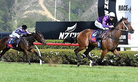 Platinum Attack bolts clear of Bedtime Story at Trentham in a sizzling 1:07.3. PHOTO: Peter Rubery/Race Images.