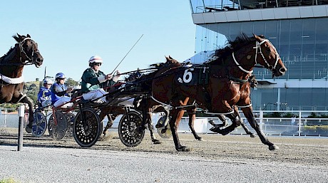 Lincoln Wave … fitter for his resuming run last week. PHOTO: Megan Liefting/Race Images.