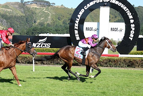 Platinum Attack has Navigator well covered at the finish of the Lightning. PHOTO: Peter Rubery/Race Images.