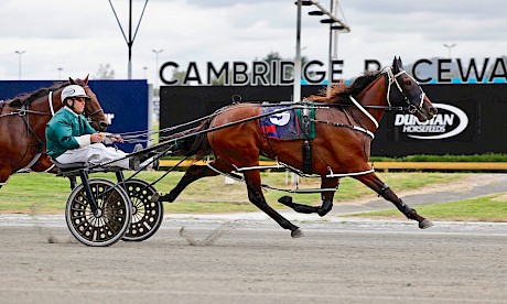 Lincoln Linda in cruise control, winning at Cambridge in February. PHOTO: Ange Bridson/Race Images.