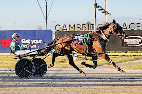 The Night Fox scoring a strong all-the-way win at Cambridge two starts back in 2:41.