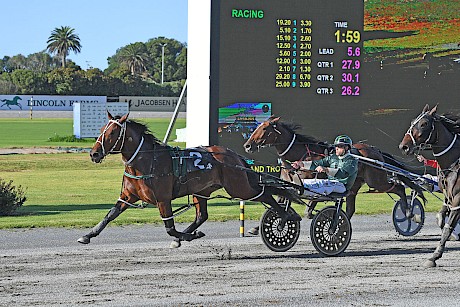 Lincoln Wave … will need luck from the seven alley. PHOTO: Megan Liefting/Race Images.