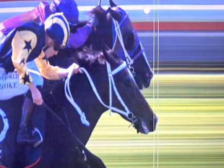 Platinum Tyche is pipped a slender nose by Mulan Ardeche.