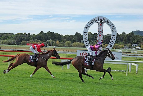 Bruno Queiroz eases up on Platinum Attack and blows a kiss to the crowd after his dazzling home stretch burst. PHOTO: Peter Rubery/Race Images.