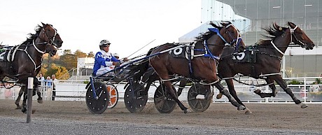 Spiritual Bliss downs Final Change at Auckland in January. PHOTO: Megan Liefting/Race Images.