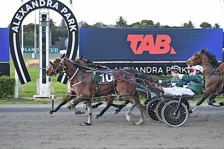 Sugar Ray Lincoln has been racing very well despite tough trips. PHOTO: Megan Liefting/Race Images.