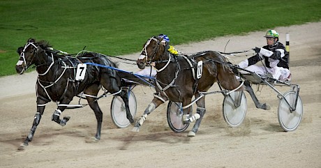 Copy N Paste is a full brother to former top filly Spanish Armada who won 14 of her 19 starts. She is pictured in one of her nine wins over Delightful Memphis in the Two-Year-Old Fillies’ Sires’ Stakes Final.