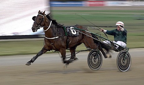 Injury-plagued Colonel Lincoln is close to his best form agai.