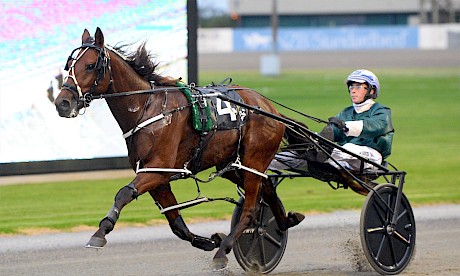 Prince Lincoln and Harrison Orange are well clear and flying on Friday night. PHOTO: Therese Davis/Race Images.