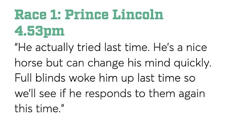 What Green said pre-race about Prince Lincoln who was at $10 on opening.
