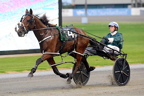 Prince Lincoln paces a sizzling 2:00.13 for 1700 metres last week. PHOTO: Therese Davis.