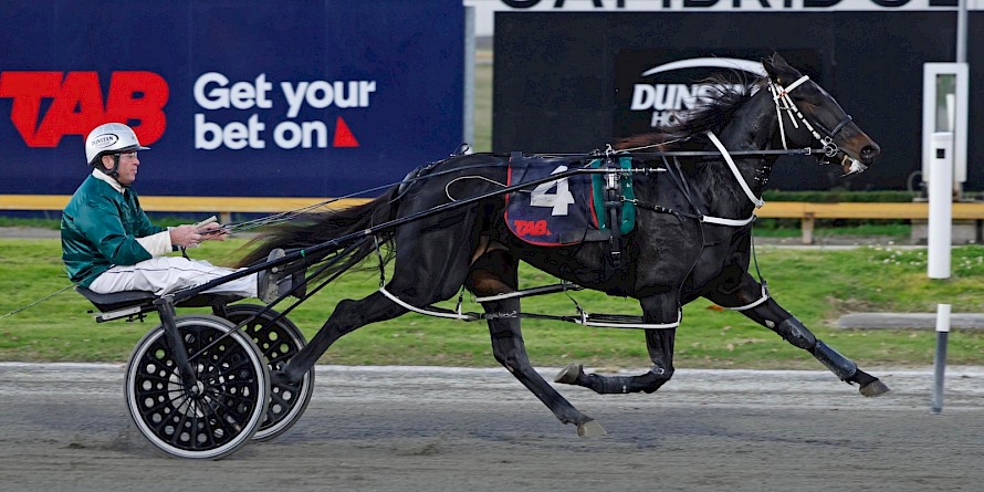 Rivergirl Bella bolts home at Cambridge for driver Peter Ferguson. PHOTO: Ange Bridson/Race Images.