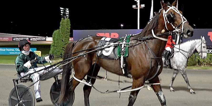 Harrison Orange brings Sammy Lincoln back after his powerhouse win last week.