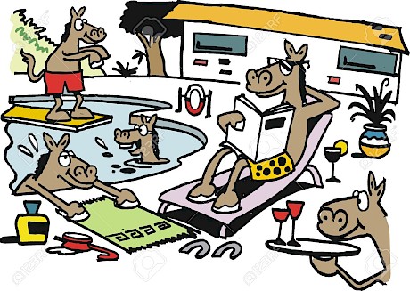 Sugar Ray Lincoln has enjoyed an easy week to freshen up.