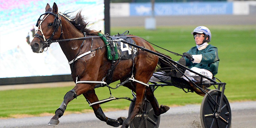 Prince Lincoln out on his own at Auckland. PHOTO: Ange Bridson/Race Images.