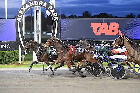 Missy Lincoln scores an all-the-way win at Auckland. PHOTO: Megan Liefting/Race Images.