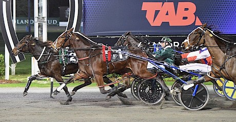 Missy Lincoln scores fresh-up at Alexandra Park. PHOTO: Megan Liefting/Race Images.