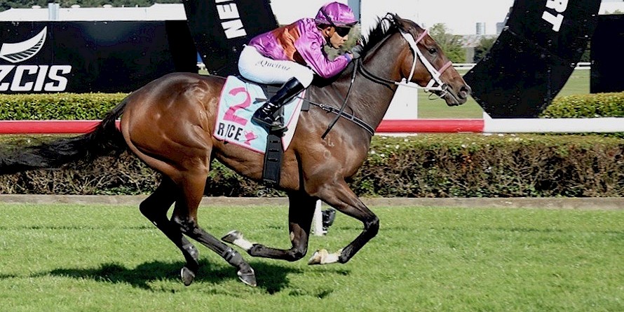 Platinum Attack and Bruno Queiroz in full flight. PHOTO: Peter Rubery/Race Images.