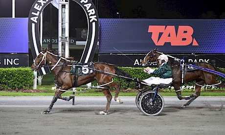 Omaha Lincoln jogs it last Friday but steps back up to Sires’ Stakes level on Friday night. PHOTO: Megan Liefting/Race Images.
