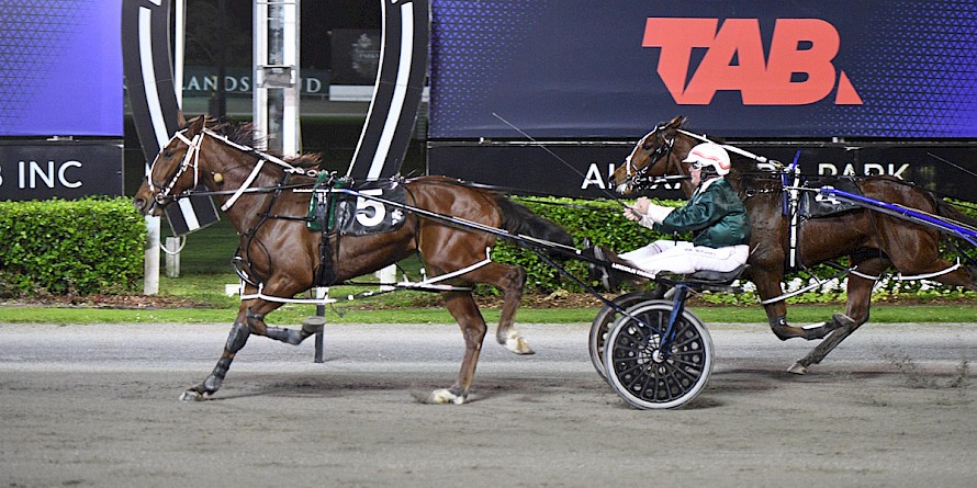 Omaha Lincoln jogs it last Friday but steps back up to Sires’ Stakes level on Friday night. PHOTO: Megan Liefting/Race Images.