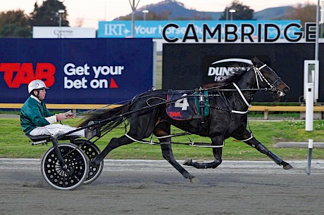 Rivergirl Bella paced 2:41.4 in her sole win at Cambridge in May. PHOTO: Ange Bridson/Race Images.