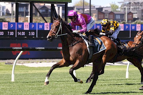 Platinum Attack strides clear of Reward Smile and Jaarffi, inner. PHOTO: Trish Dunell.