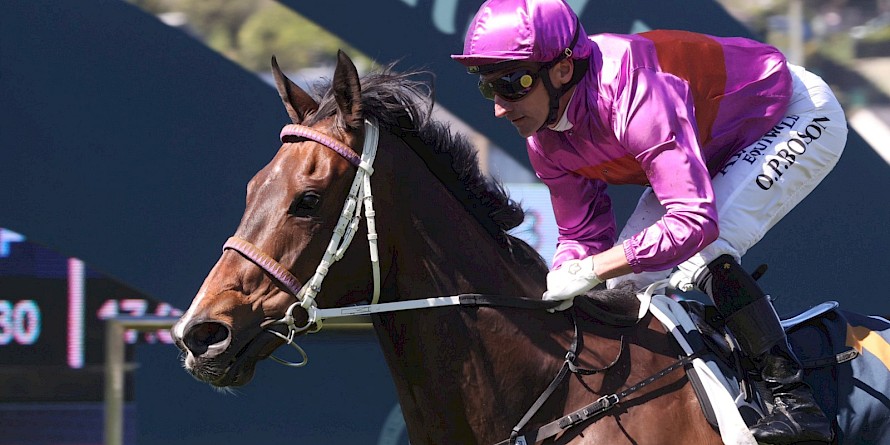 Opie Bosson eases down Platinum Attack at the finish of the Sweynesse Stakes at Ellerslie. PHOTO: Trish Dunell.