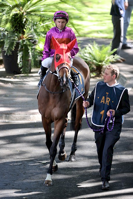 Josh Herd leads Platinum Attack and Opie Bosson at Ellerslie. PHOTO: Trish Dunell.